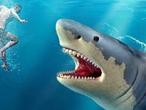 Ocean Marksman Precision Game