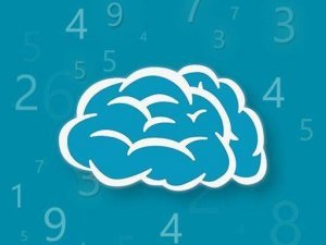 Brain Training Memory Puzzle