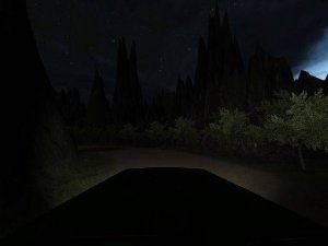 Jungle Drive Adventure