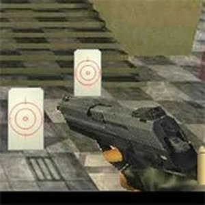 Precision Point 2 Arcade Challenge