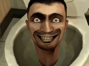 Skibidi Toilets Puzzle Arcade