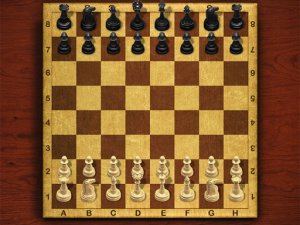Chess Master King Strategy Board Game