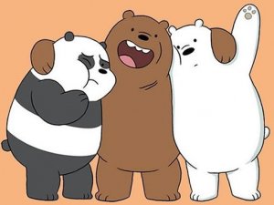 We Bare Bears Difference Puzzle