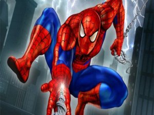 Spider Man Jigsaw Puzzle