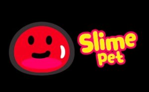 Pet Care Simulator: Bouncy Buddy