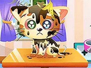 Kitten Care & Dress-Up Adventure